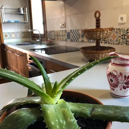 Old Town Superbistak Lekeitio