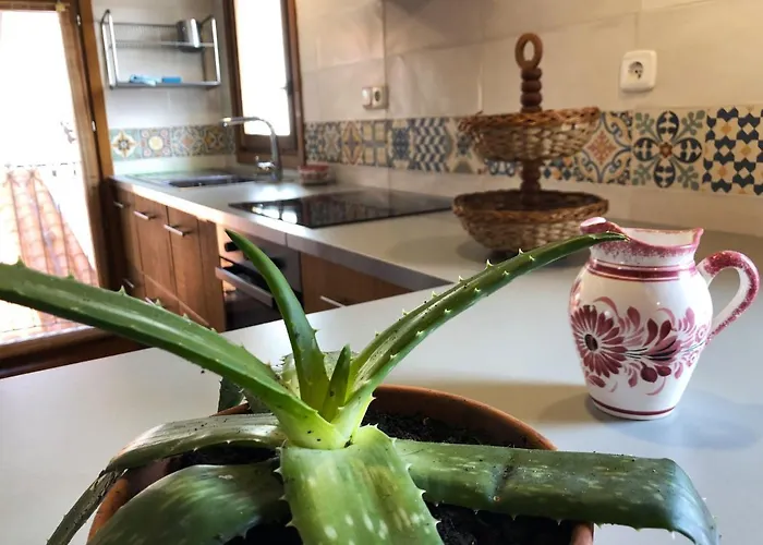 Old Town Superbistak Lekeitio