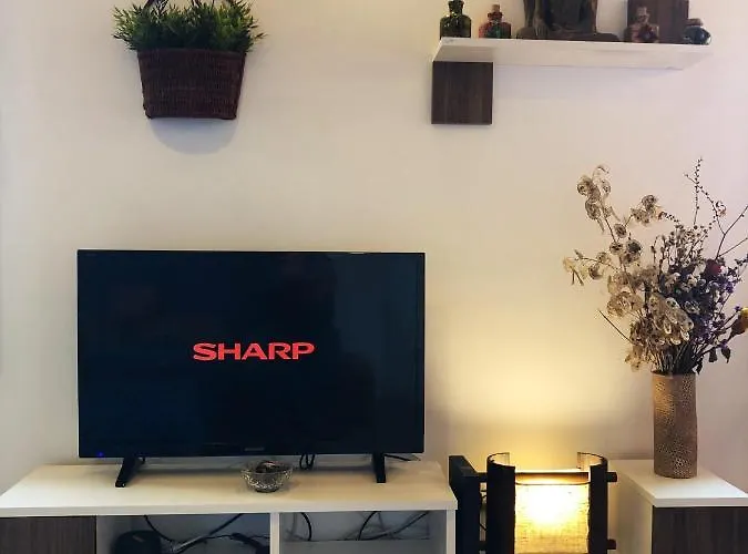 Old Town Superbistak Lekeitio